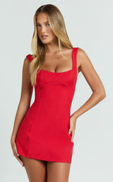 Aretha Mini Dress - Panel Dress in Red