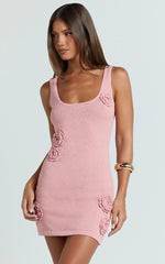 Elodie Mini Dress - Scoop Neck 3D Floral Knit Dress in Pale Pink